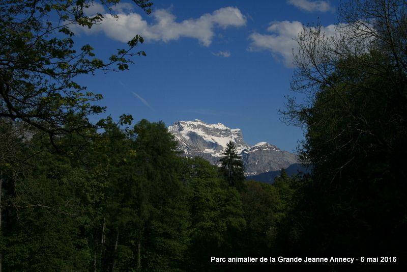 RANDO 1 - PLATEAU DU SEMNOZ