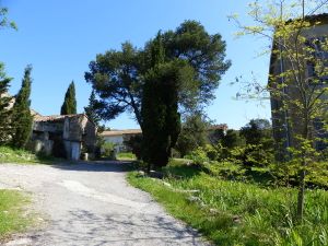 MOUJAN La Couleuvre 21Avril2018