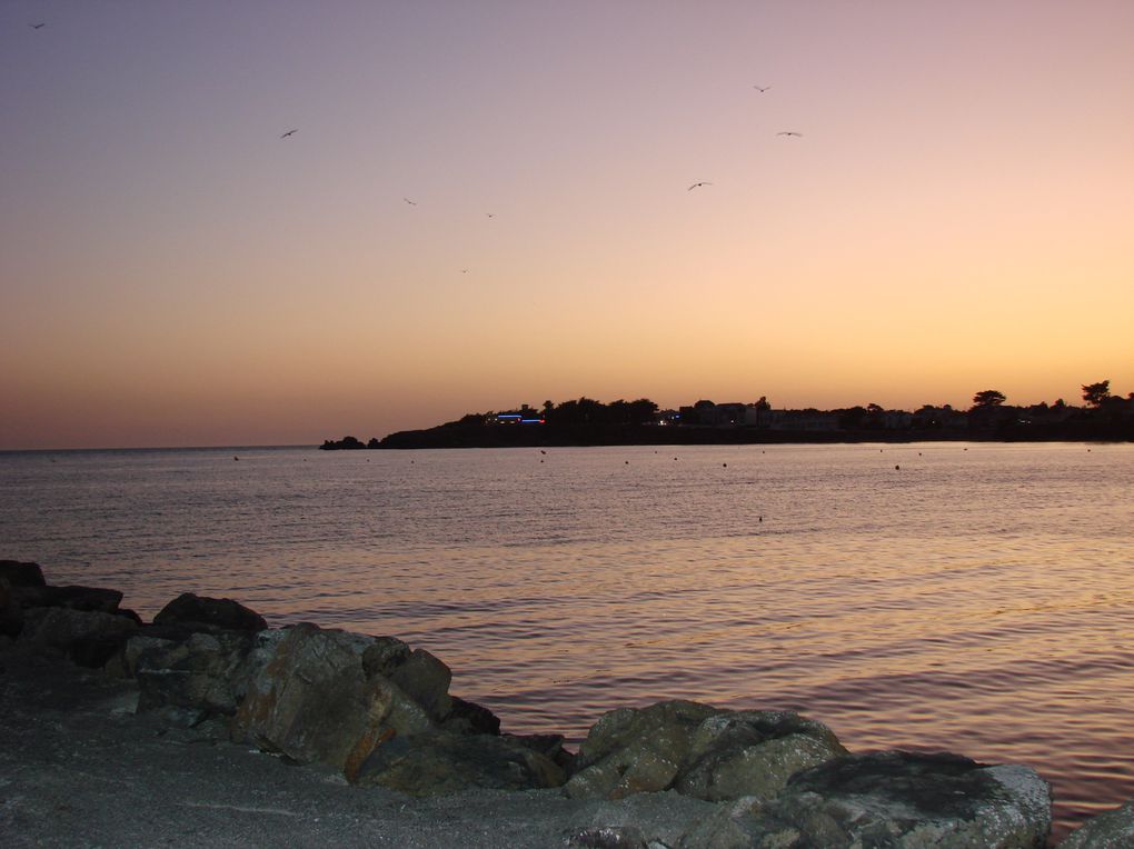 Photos de St Gille Croix de vie, la grande plage, ses ports, les jardins des olfacties à coex, la corniche vendéenne à St Hilaire du Riez et ses criques , coucher de soleil sur le remblai, les bords de la sèvres, le parc floral de la Cour D'Aron