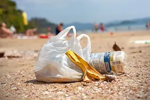 Pornichet - Ramassage des déchets avec le concours des associations the Seacleaners et Prospecteurs 44 