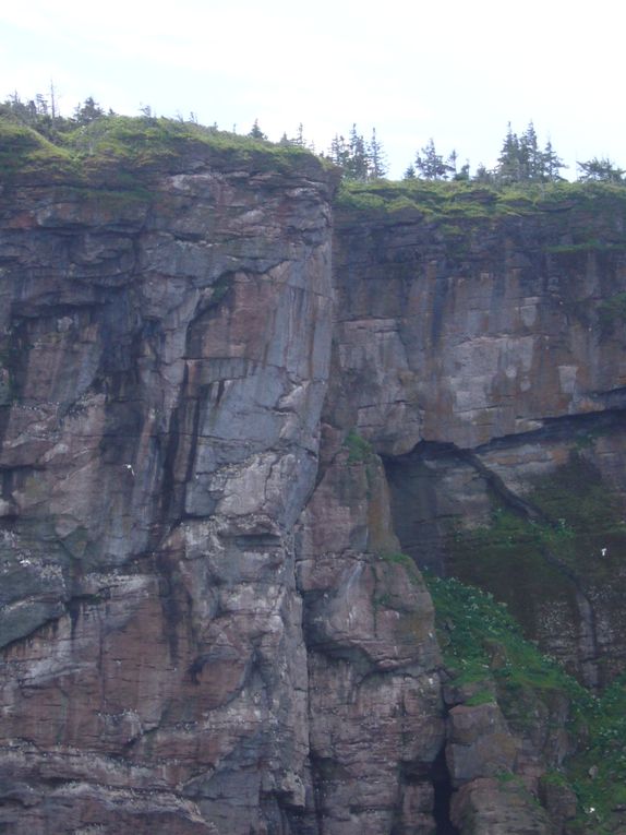 Petit tour de la Gaspesie-juillet 2009