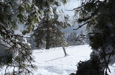 Journée Raquettes à Lans en Vercors