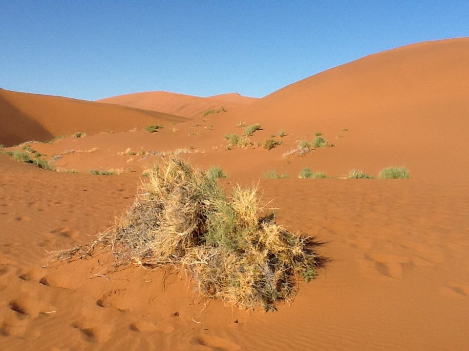 Album - Namibie