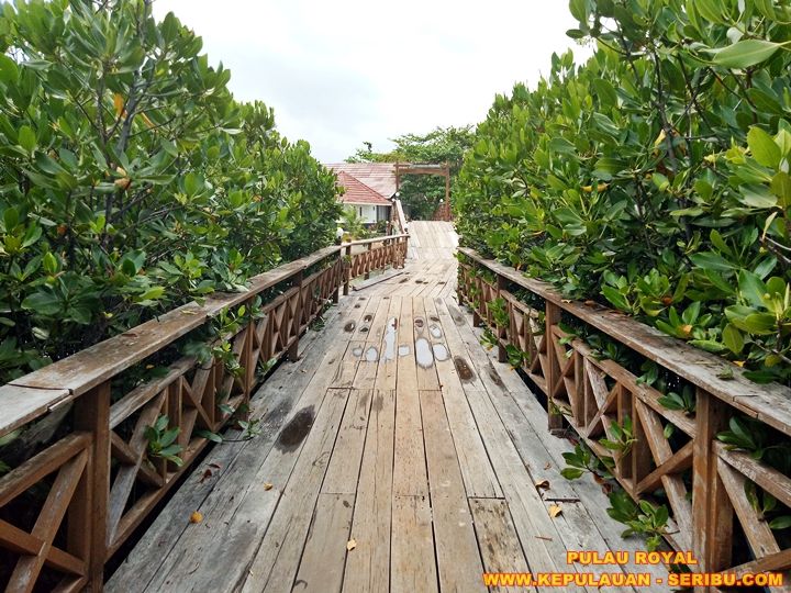 Royal Island Pulau Kelapa