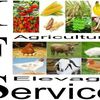 Groupe Ivoire Farming Service (G.I.F.Service)