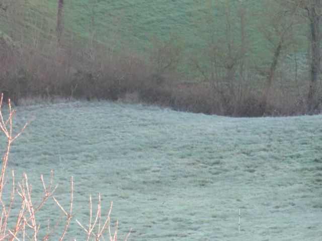 Gelée blanche du matin