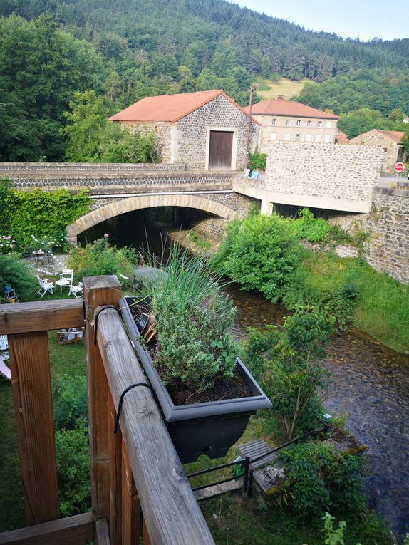 Vol plané dans un cloître