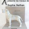 La charpente expose les travaux de Sophie Nathan