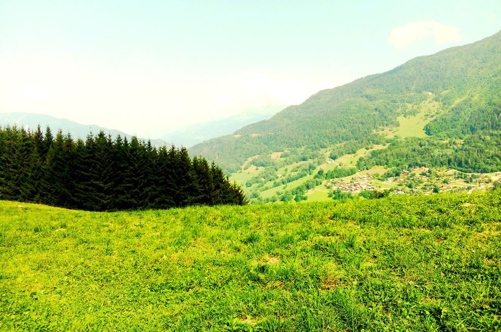 La Vigogne, par la route en arrivant. Le coin repas pour midi. Les randonneurs. La montagne toute proche, perdue dans les nuages. Des vieux outils agricoles. La terrasse au niveau des chambres. Le diner, avec des vacanciers, et nos hôtes, Jacqueline, Brigitte et Thierry. Un beau chemin à côté de la Vigogne. Notre petite bibliothèque. Karen et Philippe en ballade. Une randonnée. La Vigogne, dans toute sa splendeur. Jacqueline, votre serviteur et la chienne Callisto. Une si belle montagne. Notre programme, modulable et modifiable dans une certaine mesure. La montagne rencontre les nuages et le ciel. Les belles « Tarines », des vaches spéciales Savoie. Karen et moi lors d’une promenade. Le ciel, les nuages et la montagne. La salle à manger, avec une vue panoramique. La montagne toute proche.