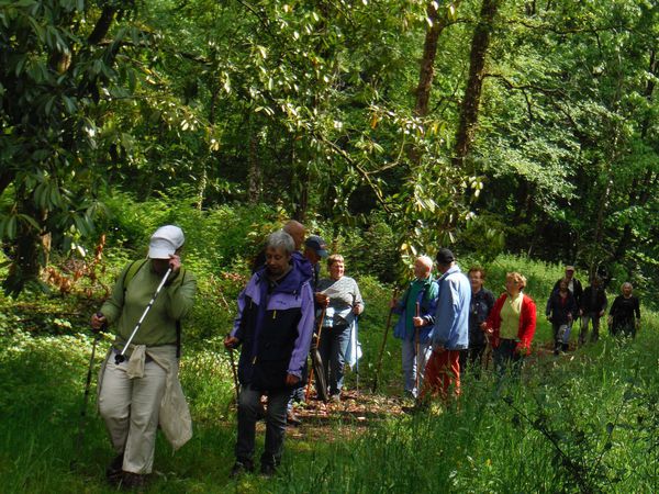 Notre entrée dans la forêt privée de Paimpont