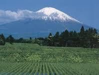 #Sake Producers Japan