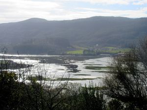 Le marais depuis les alentours de Laida