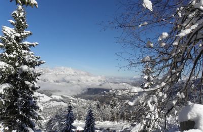 J6 - dernier jour et retour - bye les Alpes