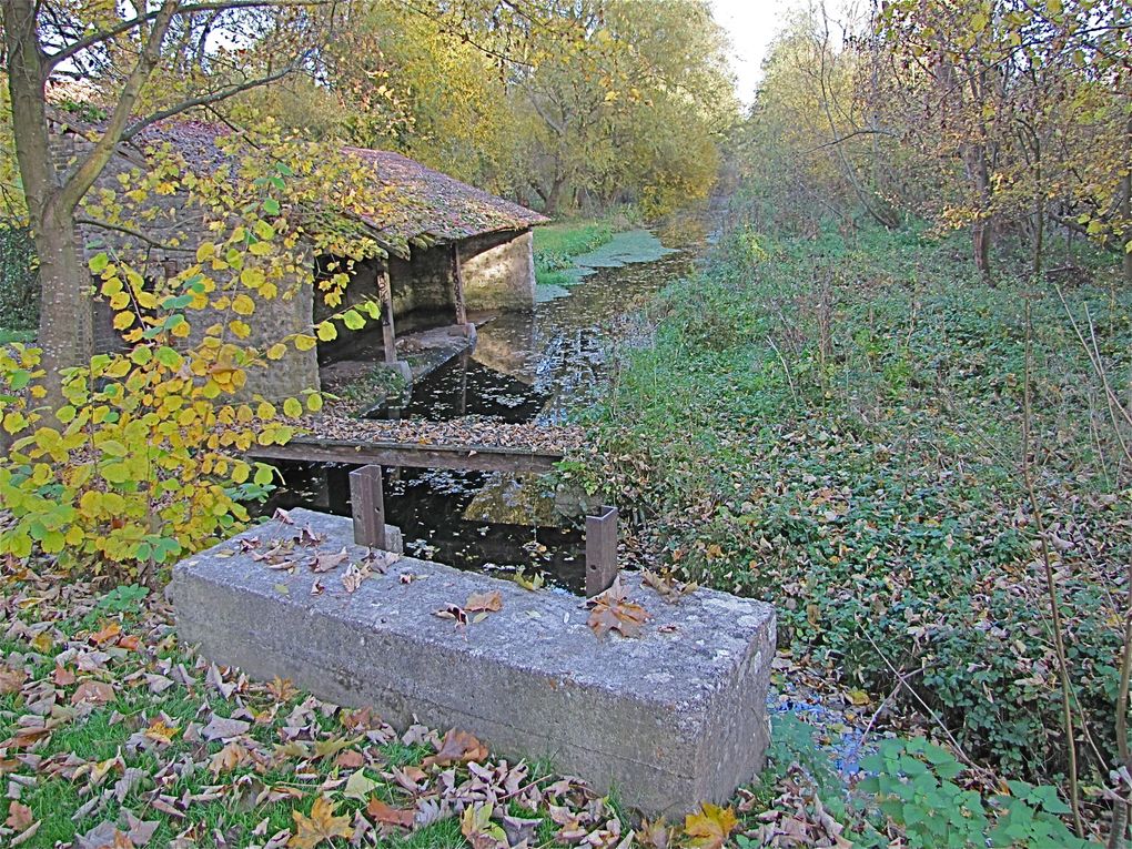 Tout chemin autour de chez moi et tout ce qui ressemble a un bois , une forêt , un étang ....... en Ile de France !
