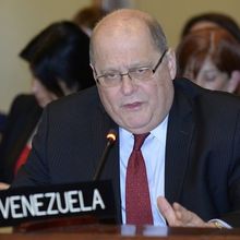 Le Venezuela demande la suspension de la réunion extraordinaire de l'OEA 