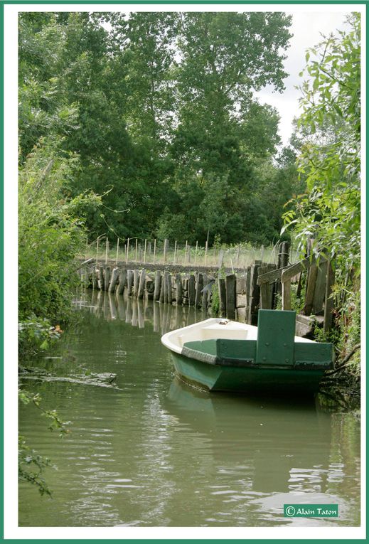 Album - le-marais-Poidevin