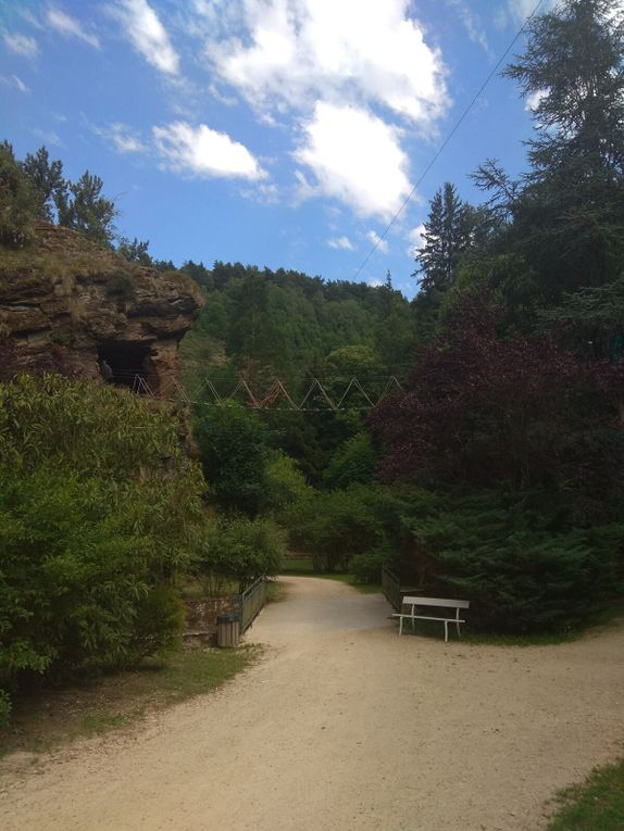 devinez lequel des "ralentis" a tenté l'accro-branche ??????