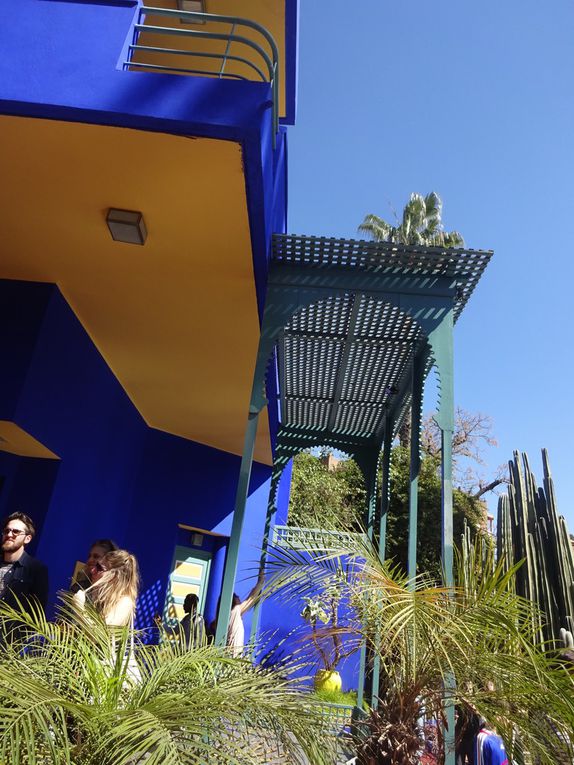 Marokko - Marrakesch - Jardin Majorelle