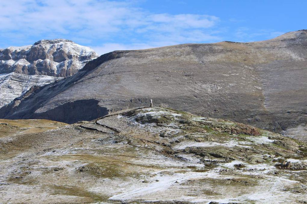 Le camping-car reprendra la route pour redescendre entre moutons