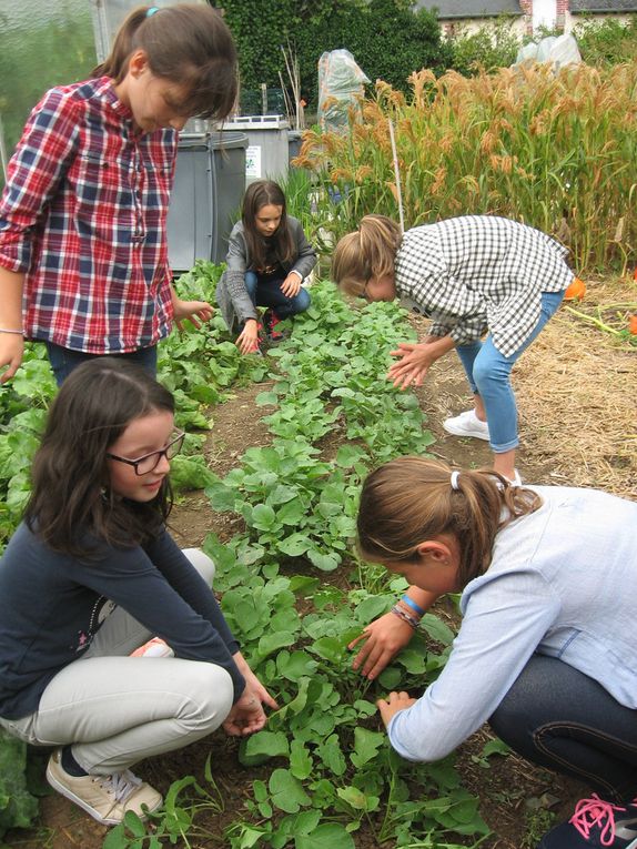 Les CM2 dans le jardin