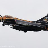 PHOTOS - Les tigres du Tiger Meet 2019 ont rugi sur la BA 118 de Mont-de-Marsan - Defens'Aero