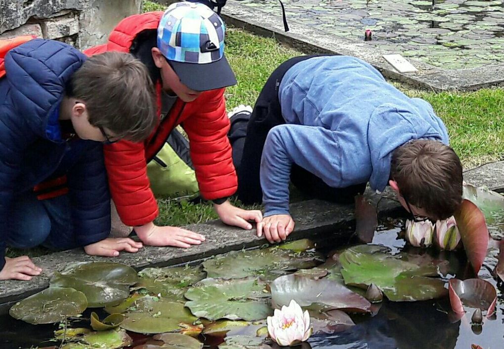 Activités découverte faune et flore aquatique...