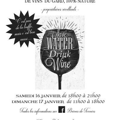 WE de la truffe à Uzès: dégustation vin nature à la galerie