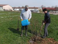 VERGER PARTAGE : de l'eau et des bras 