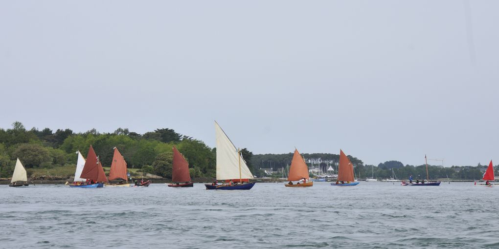 La semaine du Golfe du 16 mai au 19 mai 2023, à bord de la Petite Lili