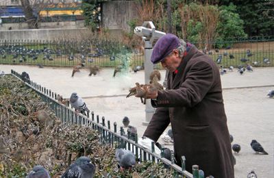 l'homme aux oiseaux ...