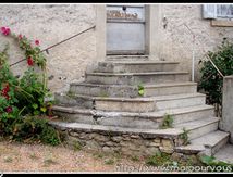 Quand les roses trémières veulent monter d'échelon ...