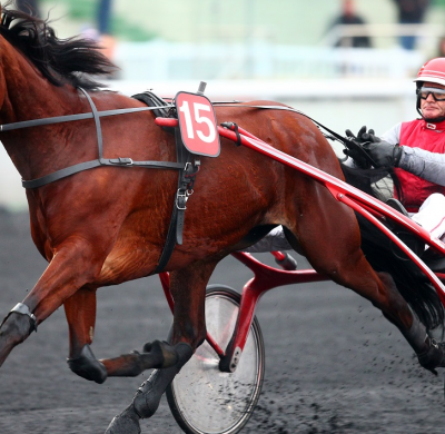 Quinté Vendredi à Vincennes : Chica de Joudes en appel