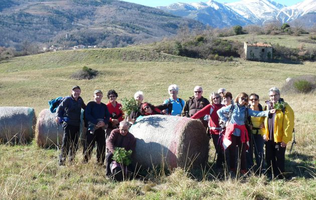 La Forêt Mystérieuse Corsavy le 4 février 2016