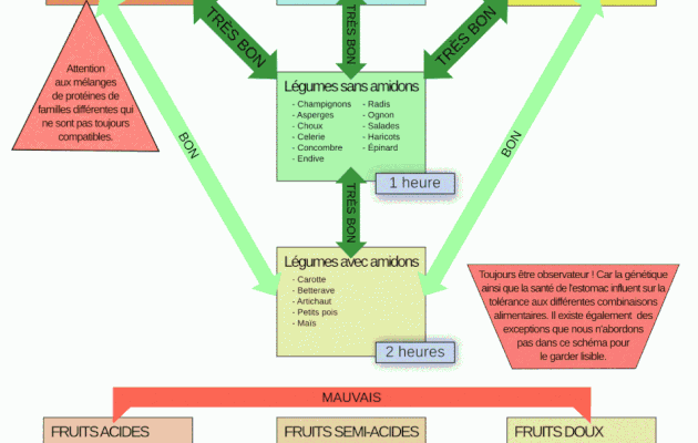 Combinaison chimique d'aliments maigrir