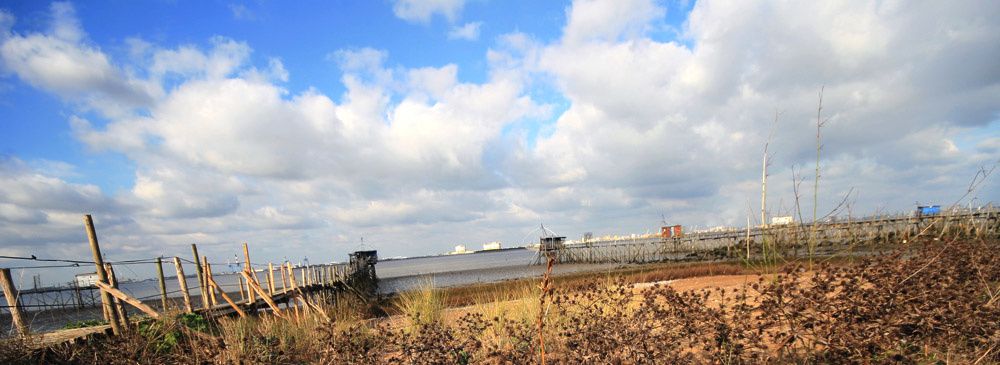 Album - Estuaire de la Loire