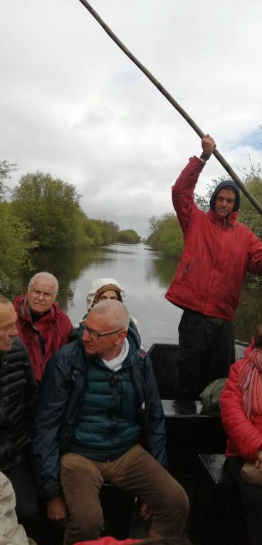 Calèche, bateau, belvédère en Brière