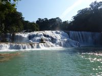 Palenque: beautiful ruins and chikungunya...