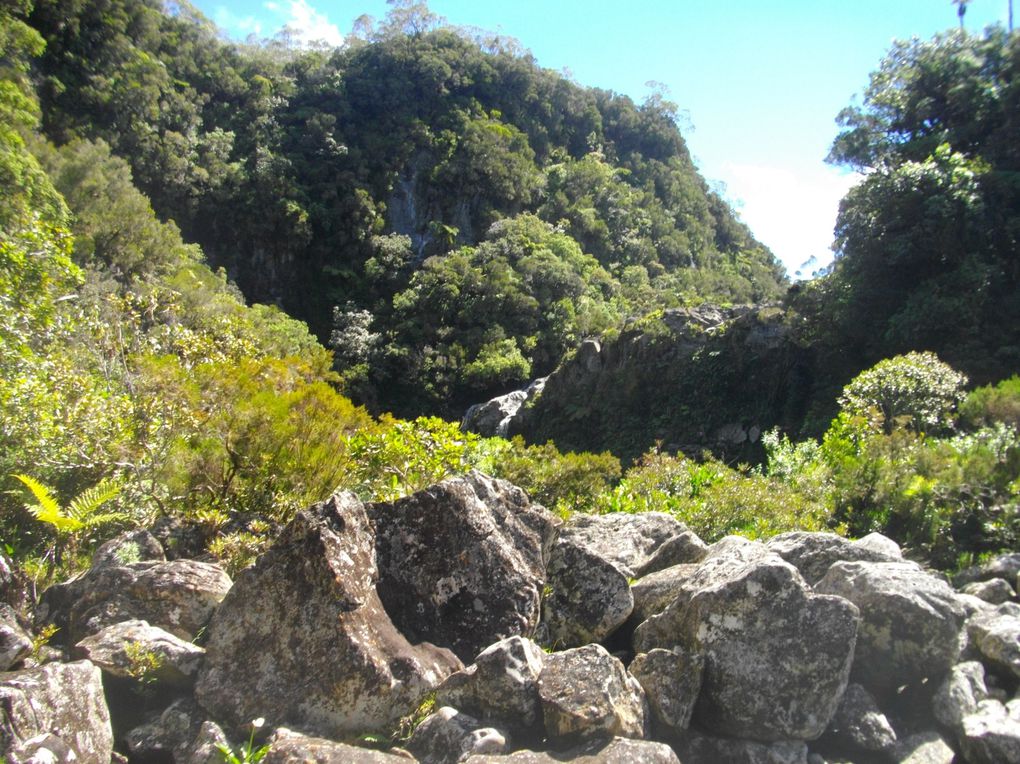 Album - La Réunion - Les Randos