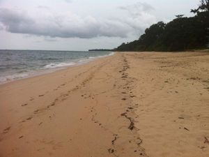 On ne vas pas être serrés sur la plage 😳