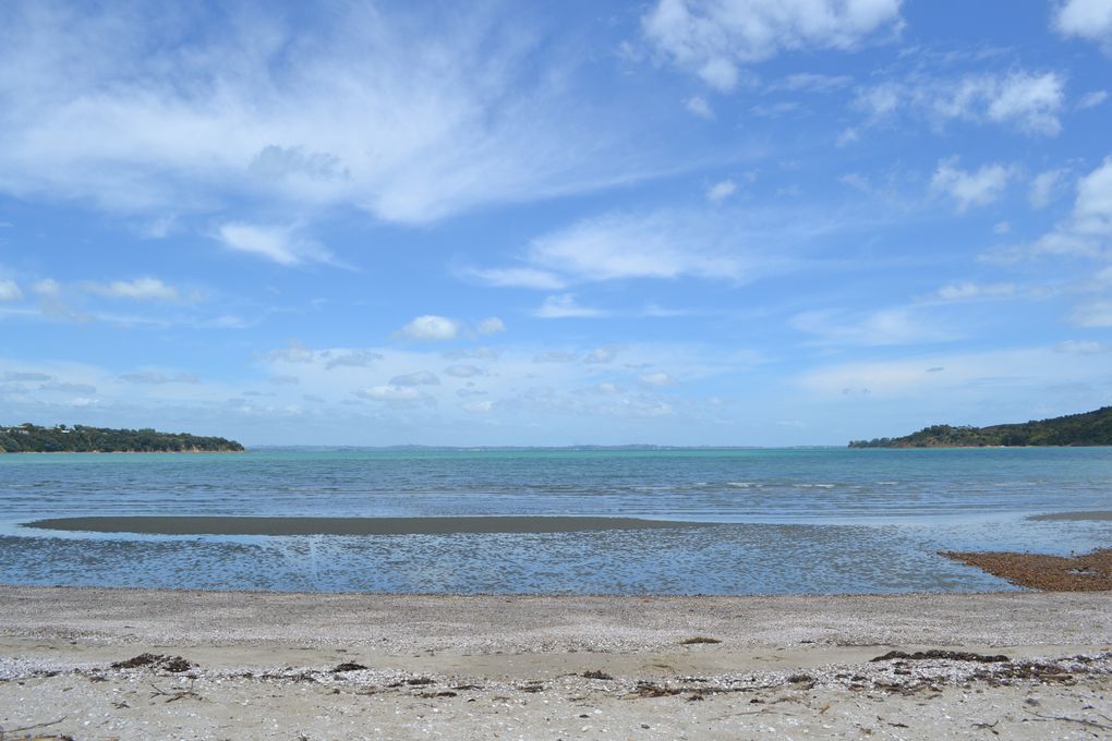 Album - Waiheke-island