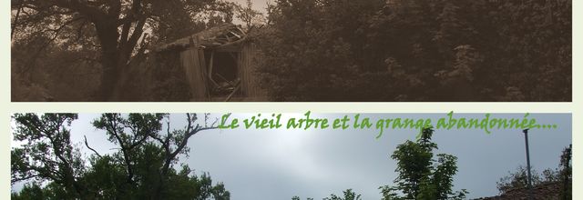 BIENTOT DEUX ANS.......