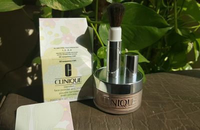 Clinique Blended Face Powder And Brush Reviews