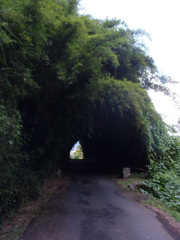 Au cœur de l’île rayonne