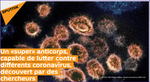 Un «super» anticorps, capable de lutter contre différents coronavirus, découvert par des chercheurs