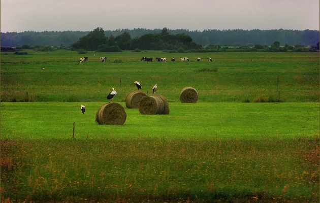 Diaporama "En Pologne"