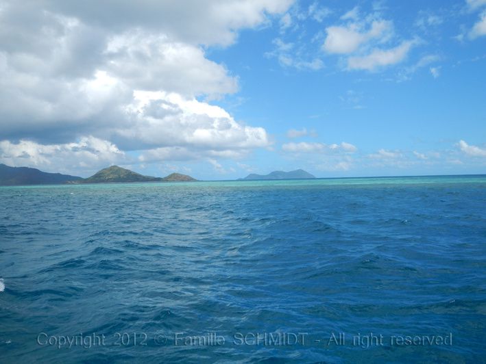 Album - Sortie-Sea-blue-Safari-03-06-2012