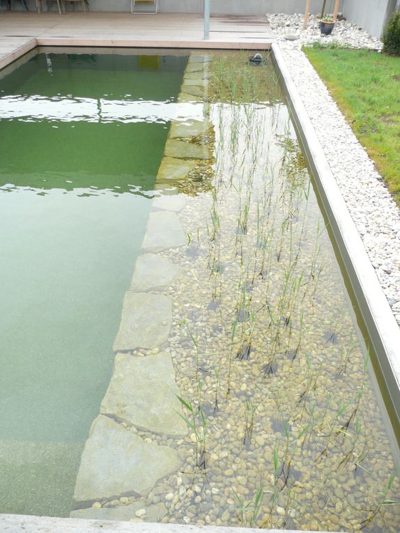 Des ateliers de menuiserie où les poussières de bois sont récupérées pour en faire des briques pour le chauffage, une piscine écolo et plein d'autres choses à Lintz en Autriche...