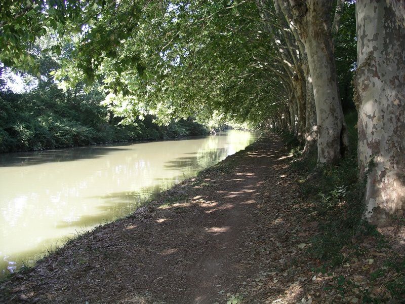 Album - Canal-Du-Midi