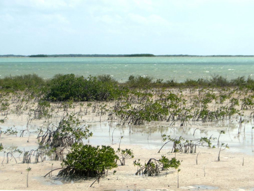 Album - Cuba-de-Trinidad-au-Cayo-de-Santa-Maria