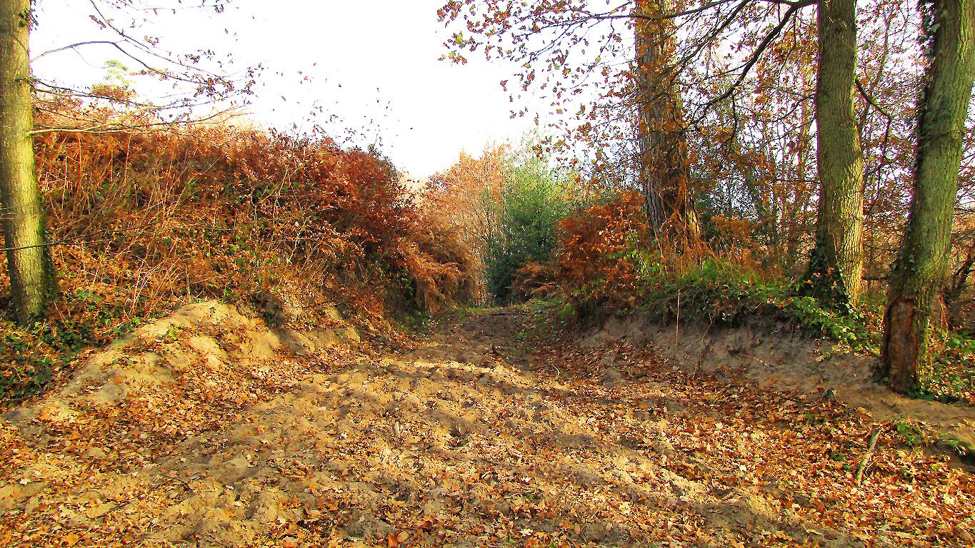 carrefour_Chemin du Pommier Vallerand_Laie de la Bantoire